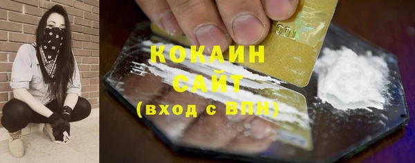 прущие грибы Нягань