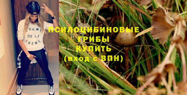 шишки Нязепетровск